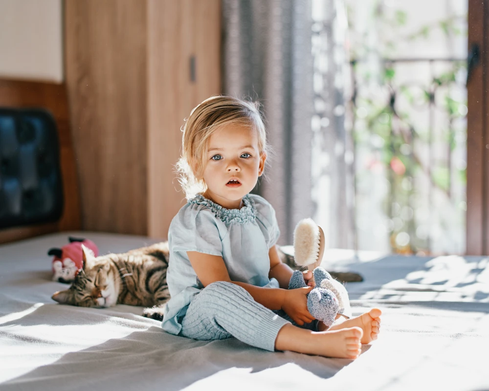 swing cradle for infants