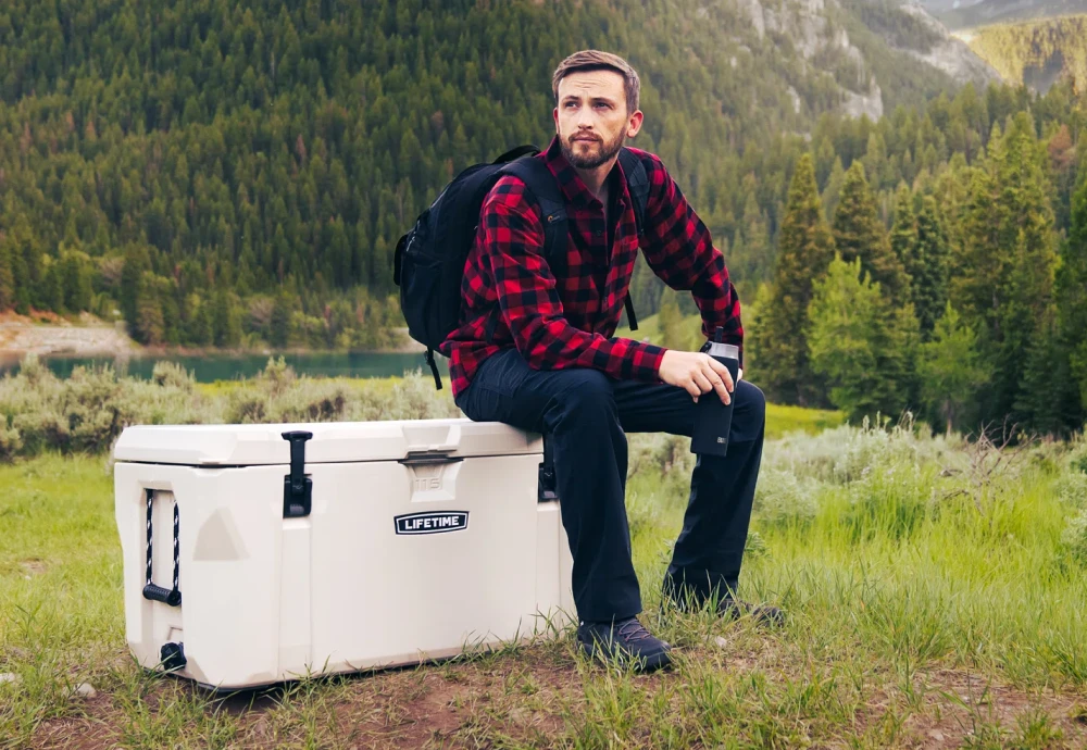 portable cooler box