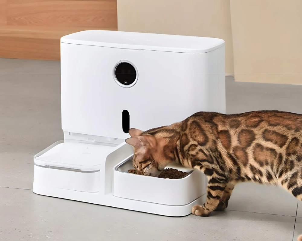 automatic pet feeder and water dispenser