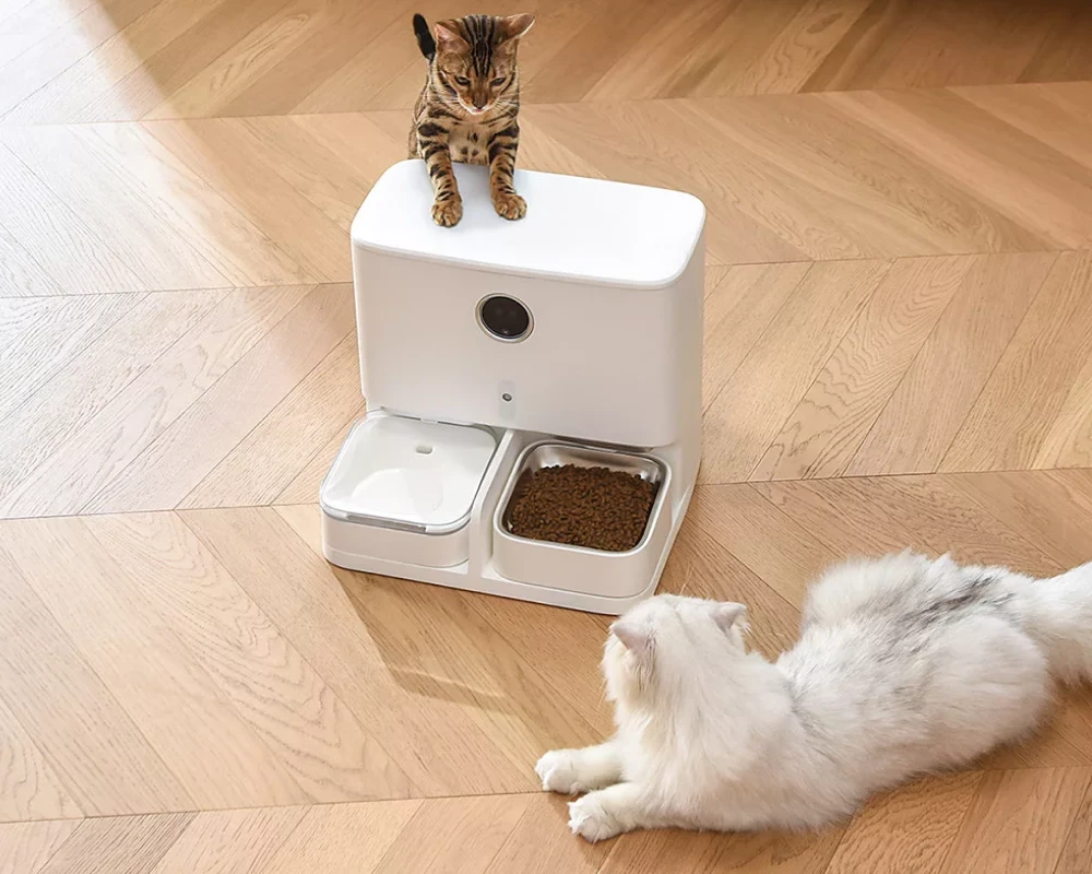 automatic pet feeder and water dispenser