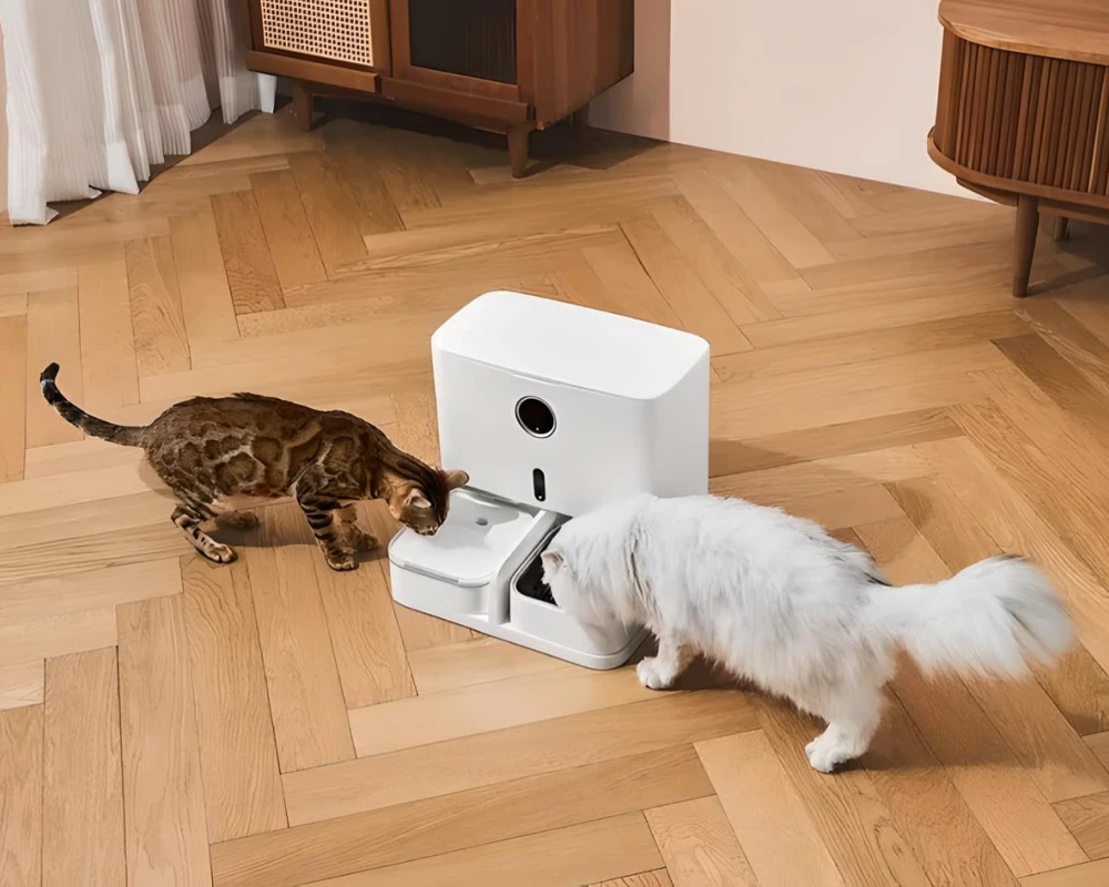 dog automatic pet feeder