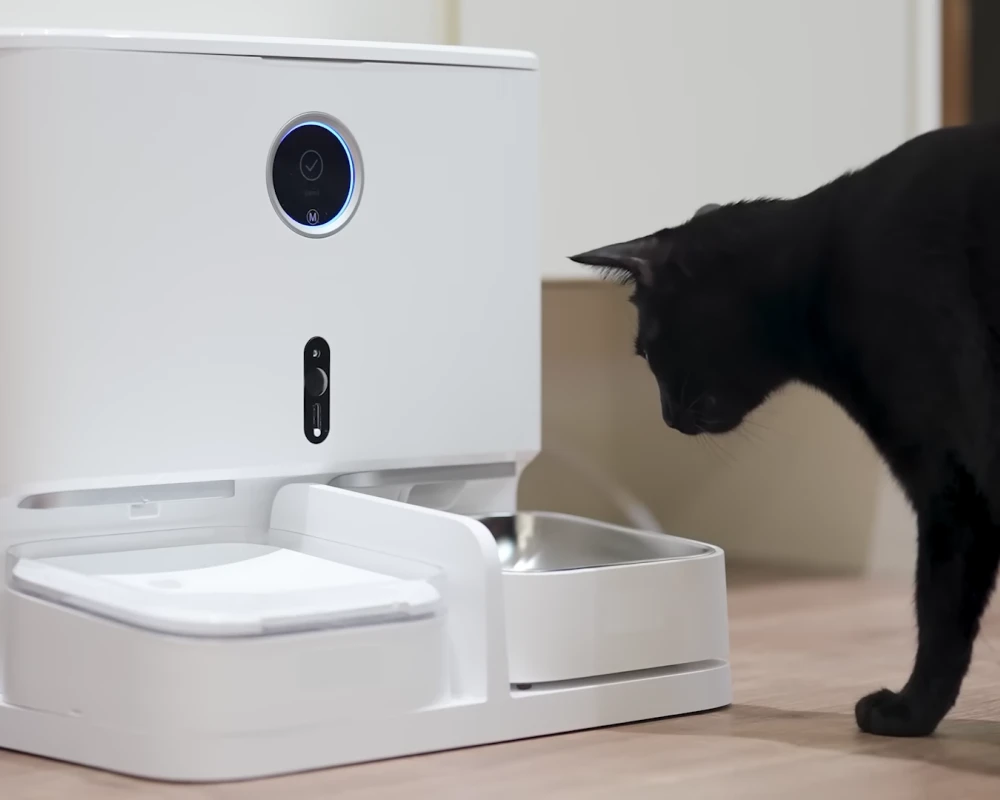 automatic pet feeder and water dispenser